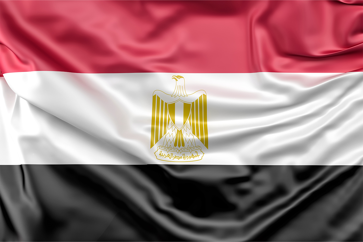 ريهام كمال لتاسيس الشركات